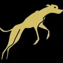 Splash Vinegars logo
